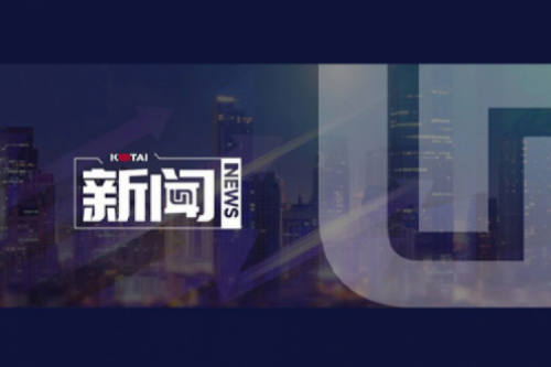 AI驱动新增长，扣非净利提升10%，KY.COM-开云(中国)数码2025一季度稳健开局